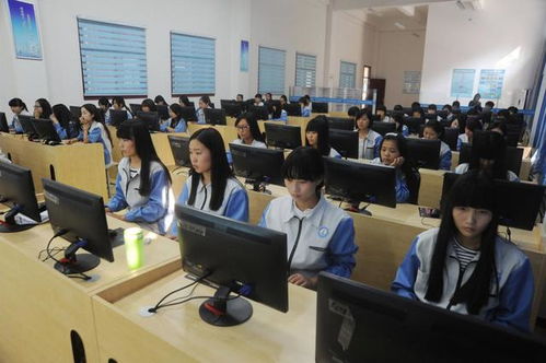 电子商务哪个专业女的多